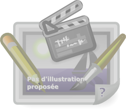 Pas d'image disponible